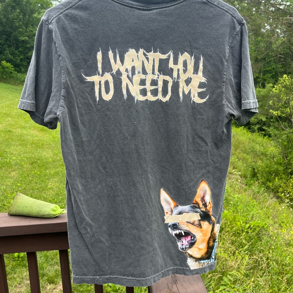 I WANT YOU TO NEED ME AT FIRST SIGHT grey graphic tee unisex